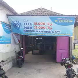 Ikan hias peralatan aquarium peancing