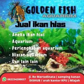 Golden Fish Aquarium