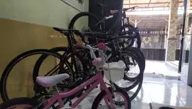 ADA Bike